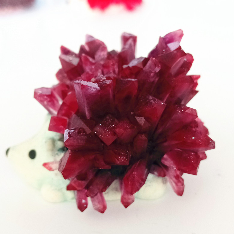 魔法刺猬晶石種植 科學與幻想交織的科教文具新寵